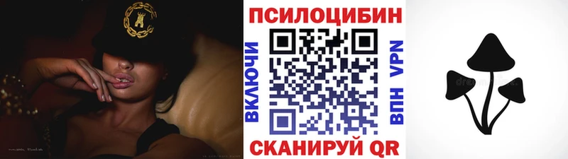 Галлюциногенные грибы мицелий  гидра tor  Будённовск 